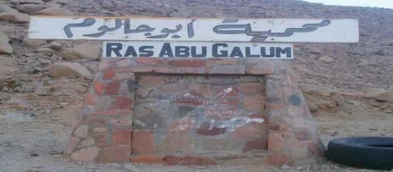اجمل 5 انشطة في محمية ابو جالوم دهب