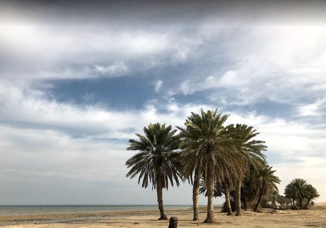 عبدالله سليمان@ google map شاطئ العقير بالاحساء