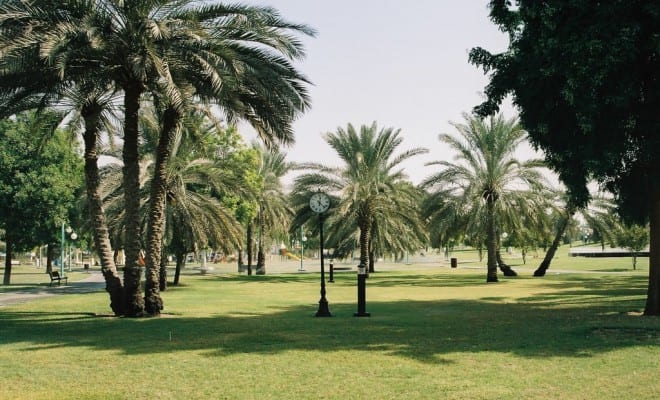 اجمل 4 انشطة في حديقة الخالدية في ابوظبي الامارات
