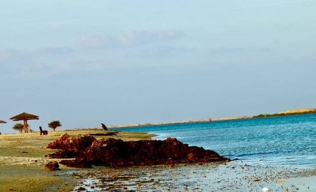 اجمل 5 انشطة عند زيارة شاطئ الخور قطر