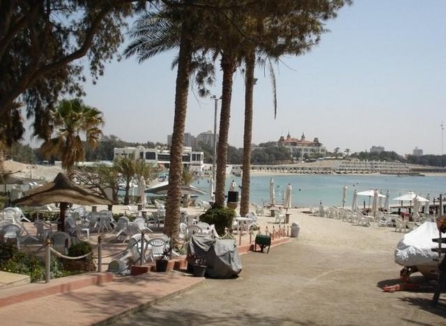 @google map جزيرة الشاي بالاسكندرية
