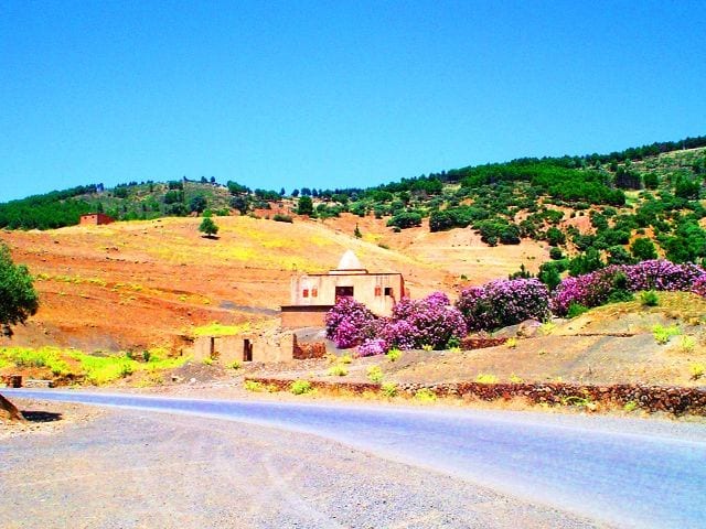 habib مناظر في الجزائر