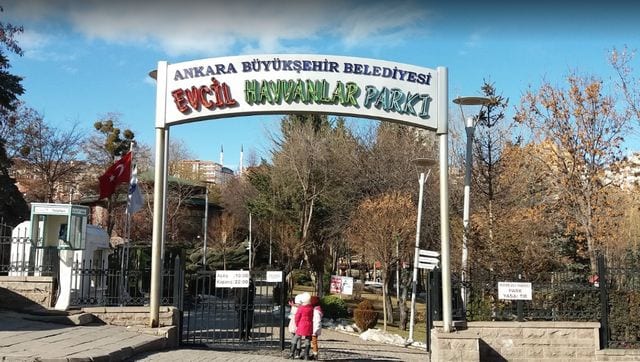 أفضل 9 انشطة في حديقة الحيوانات في انقرة تركيا