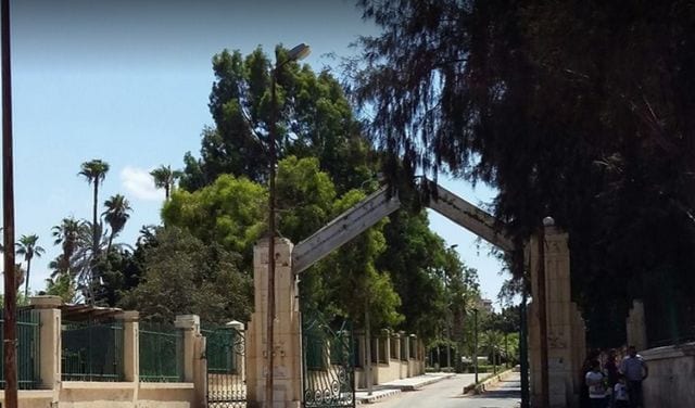 google حديقة انطونيادس