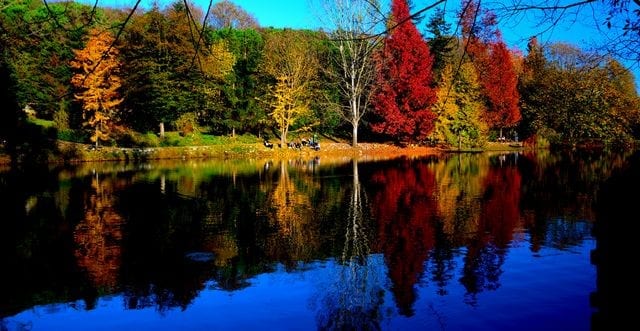 Feridun F حديقة اتاتورك اسطنبول