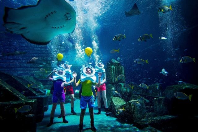 يوفر فندق اتلانتس دبي غرفة تحت الماء ألعاب مائية وغطس وسباحة