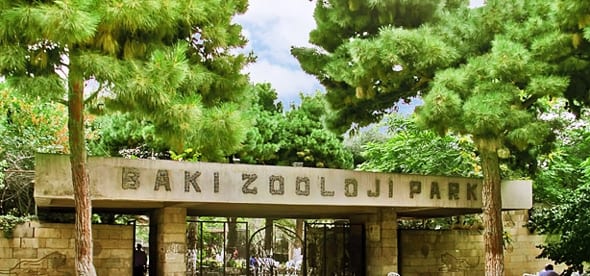 أفضل 5 أنشطة في حديقة حيوانات باكو اذربيجان
