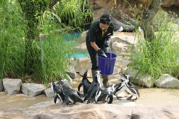 حديقة حيوانات برونكس من اشهر الاماكن السياحية في نيويورك امريكا
