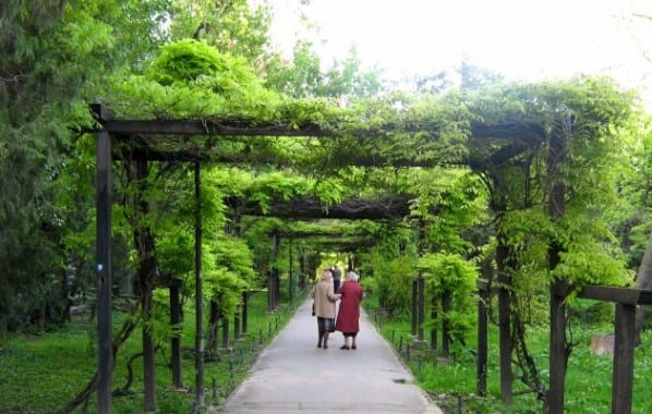 حديقة سيسميجيو في بوخارست