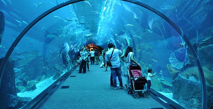 يعد الاكواريوم في دبي في الامارات من أفضل الاماكن السياحية في دبي - اسعار تذاكر اكواريوم دبي مول