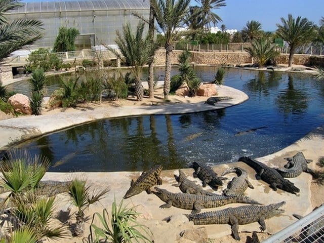 حديقة التماسيح من أفضل الحدائق في دبي