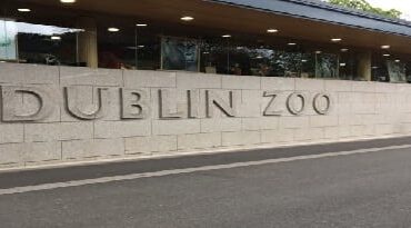 أفضل 7 أنشطة في حديقة حيوانات دبلن ايرلندا