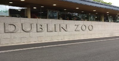 أفضل 7 أنشطة في حديقة حيوانات دبلن ايرلندا