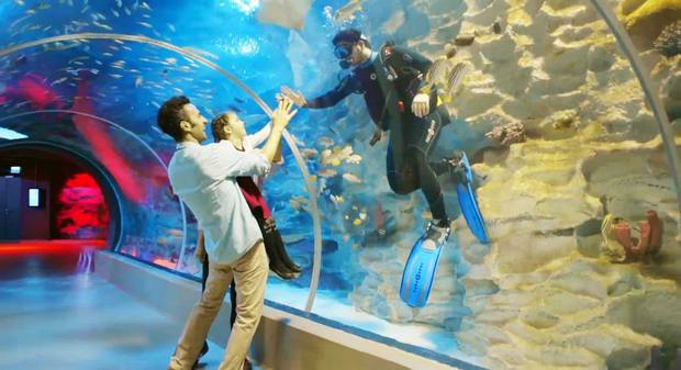 https://aqualifeprojects.com/project/emaar-aquarium/@ اعمار مول اسطنبول