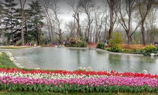 حديقة اميرجان اسطنبول