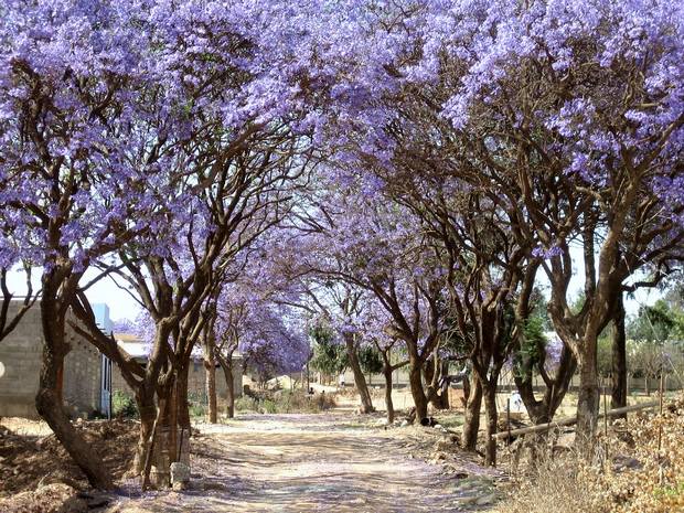 السياحة في اريتريا السياحة في اريتريا