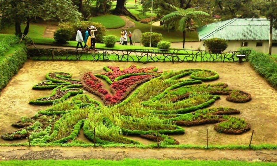 حديقة هاكغالا النباتية في سريلانكا نوراليا