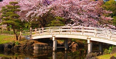 أفضل 7 أنشطة في حدائق هاماريكيو في طوكيو