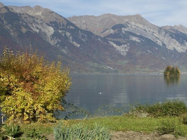 Patrick Nouhailler @flicker واحدة من أشهر قرى انترلاكن وأكثرها جذبًا للزوار