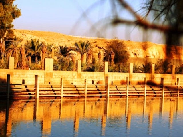 ممرات منتزه الملك سلمان البري الرياض