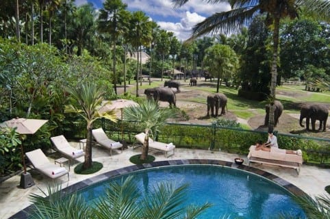 حديقة الفيلة في لومبوك - إندونيسيا