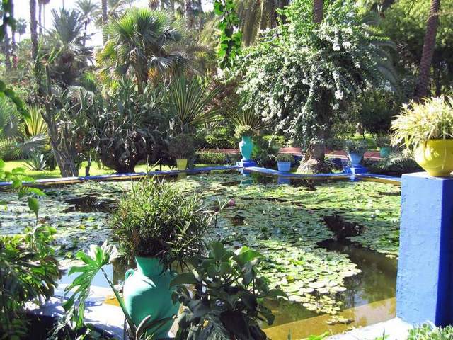 حديقة ماجوريل مراكش - من اجمل حدائق مراكش المغرب