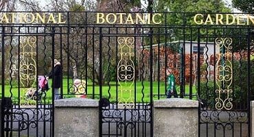 أفضل 7 أنشطة في حديقة النباتات الوطنية في دبلن إيرلندا