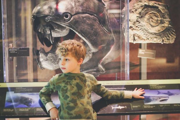 المتحف الوطني للتاريخ الطبيعي من اجمل الاماكن السياحية في واشنطن دي سي