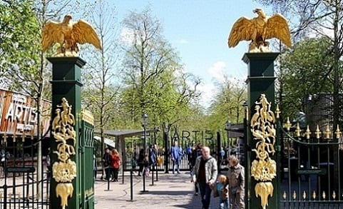 حديقة حيوانات ارتيس امستردام 