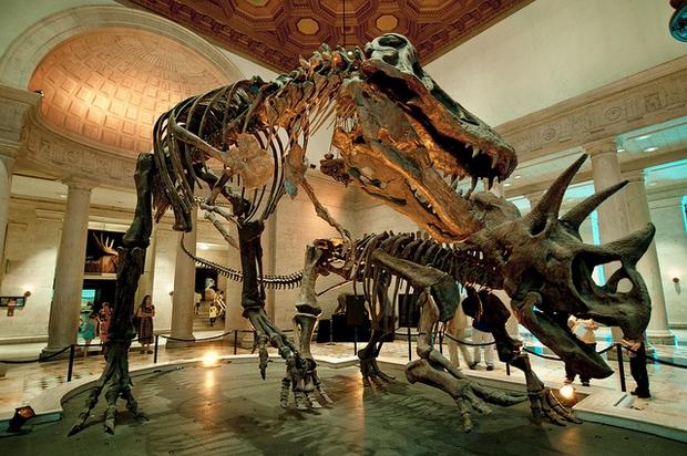 متحف التاريخ الطبيعي في لوس انجلوس