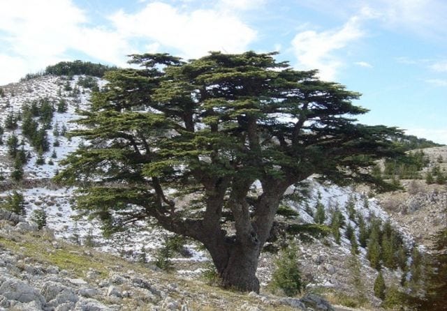 maps مناطق سياحية في جنوب لبنان