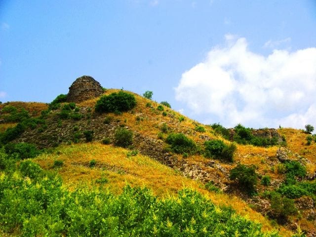 Martin شاماخي اذربيجان