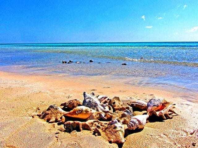 شرم اللولى بمرسى علم في مصر شرم اللولى بمرسى علم في مصر