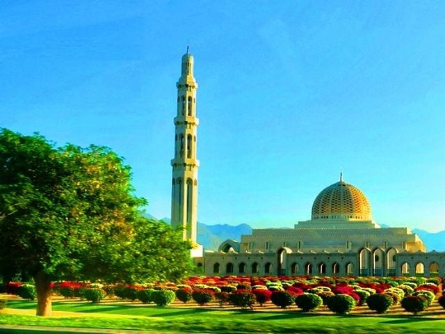 Steve مسجد السلطان قابوس مسقط