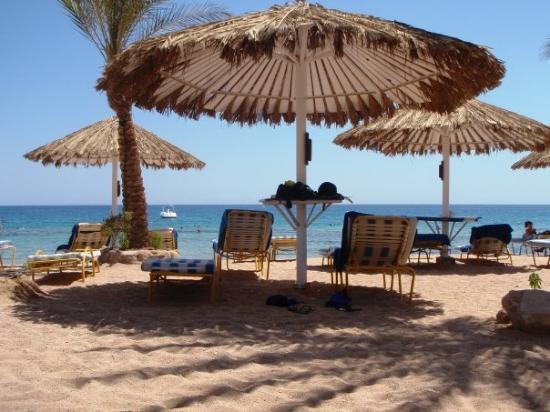 شاطئ تراسينا شرم الشيخ شاطئ تراسينا شرم الشيخ