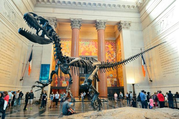 المتحف الأمريكي للتاريخ الطبيعي من اجمل الاماكن السياحية في  نيويورك