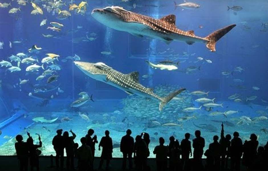 دبي مول من اهم الاماكن السياحية في دبي الامارات دبي مول من اهم الاماكن السياحية في دبي الامارات