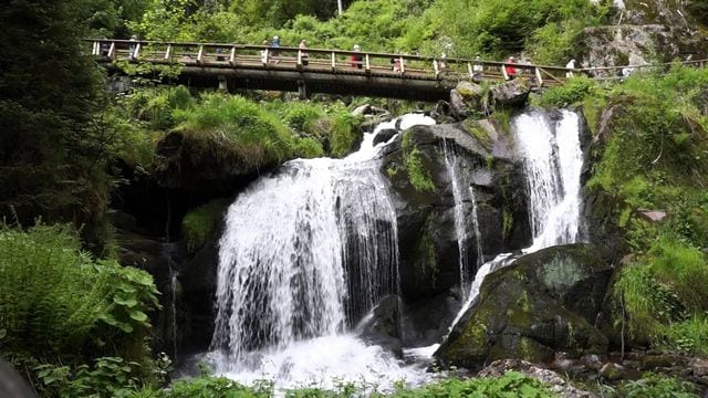 The Travelista @flikr.com الغابات السوداء بادن بادن
