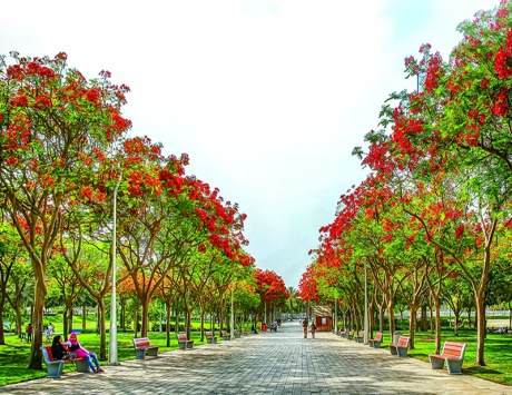 تعد حديقة زعبيل من أفضل حدائق دبي ، حيث تحتضن مركز للتكنولوجيا والرياضة والعديد من المرافق المتنوعة مما جعلها احدى أفضل الاماكن السياحية في دبي