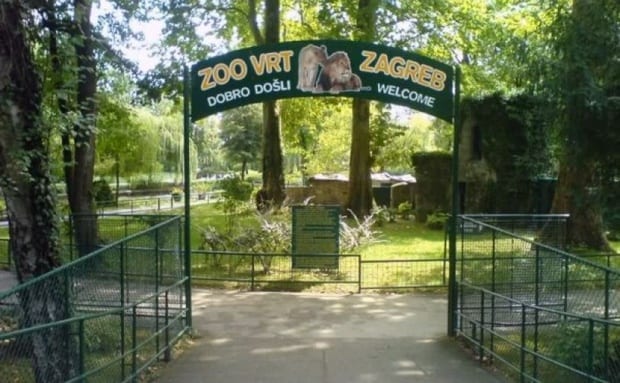 أفضل 4 أنشطة في حديقة حيوانات زغرب