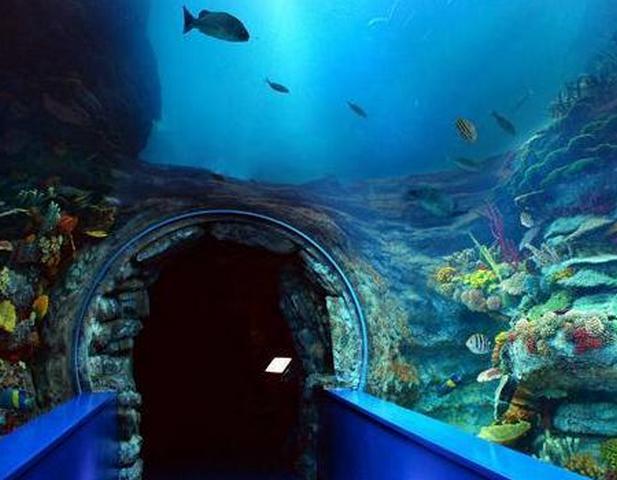 متحف الأحياء المائية من متاحف الاسكندرية الرائعة