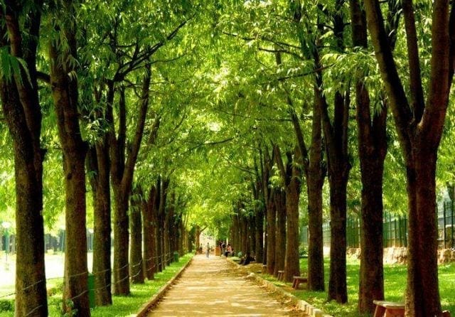 السياحة في بنجلور السياحة في بنغالور