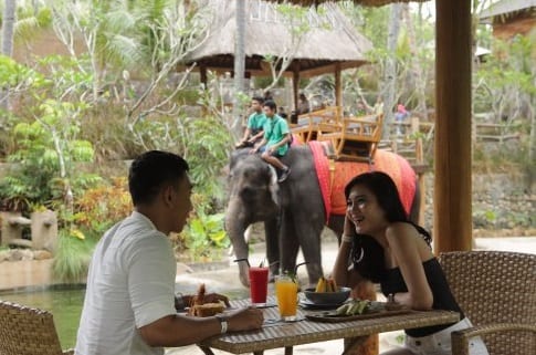 حديقة الفيلة في لومبوك - إندونيسيا 