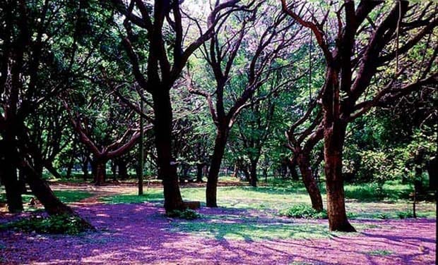 حديقة كوبون بارك بنجلور الهند