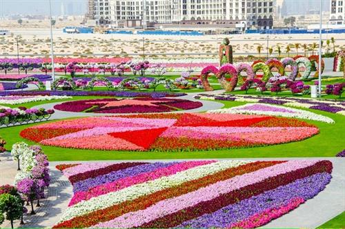 أفضل 10 من حدائق دبي التي ننصحككم بزيارتها