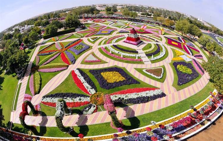 اين تقع حديقة الزهور في دبي