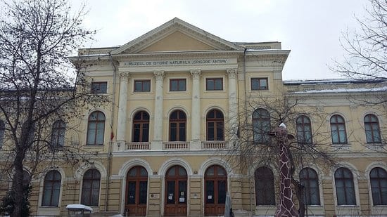 أفضل 4 أنشطة عند زيارة متحف التاريخ الطبيعي في بوخارست