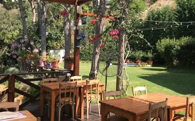 أفضل 7 انشطة عند زيارة تلفريك جونيه تلفريك جونيه