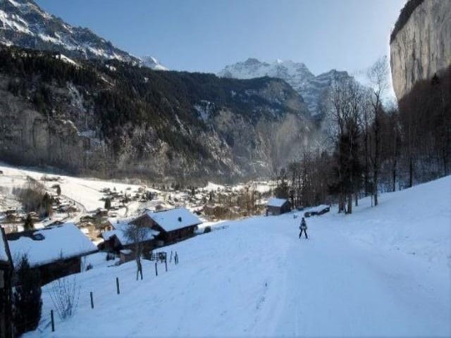 @TripAdvisor التزلج على الجليد لوتربرونن