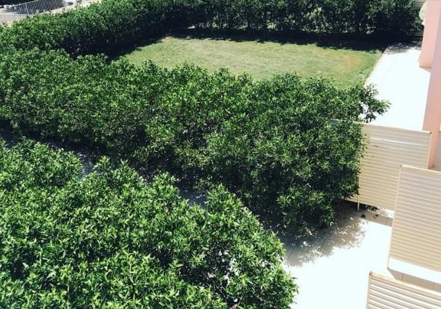 منتجع بلنسية الطائف منتجع بلنسية الطائف